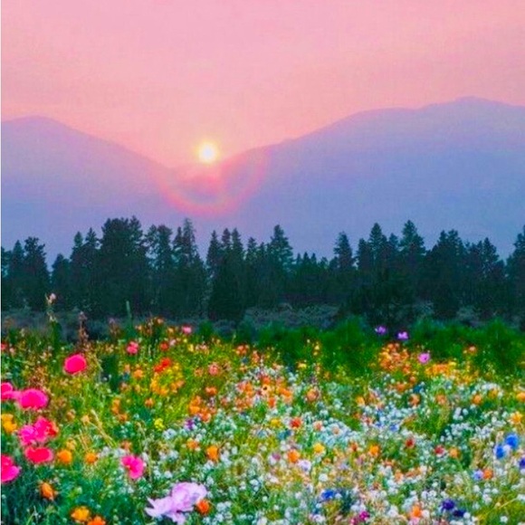 Meet your Posher, Marlena - Picture 1 of 1